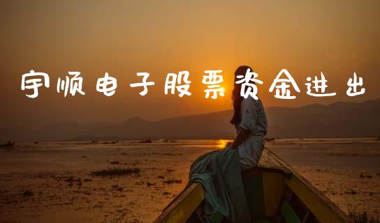 宇顺电子股票资金进出_https://qh.lansai.wang_期货怎么玩_第1张