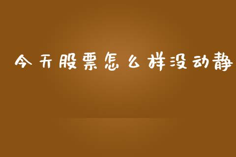 今天股票怎么样没动静_https://qh.lansai.wang_期货理财_第1张