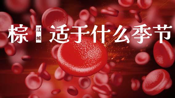 棕榈适于什么季节_https://qh.lansai.wang_期货喊单_第1张