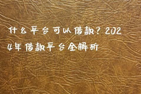 什么平台可以借款？2024年借款平台全解析_https://qh.lansai.wang_海康威视股票_第1张