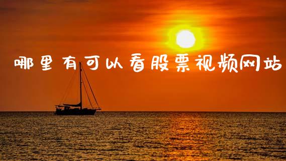 哪里有可以看股票视频网站_https://qh.lansai.wang_新股数据_第1张