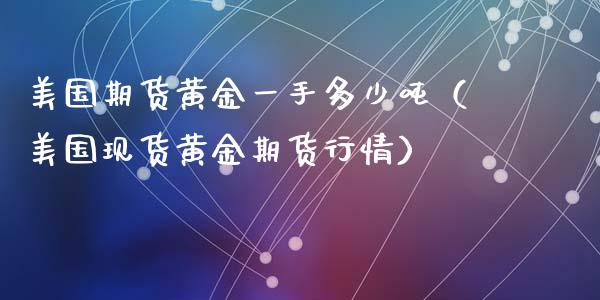 美国期货黄金一手多少吨（美国现货黄金期货行情）_https://qh.lansai.wang_期货理财_第1张