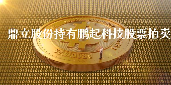 鼎立股份持有鹏起科技股票拍卖_https://qh.lansai.wang_新股数据_第1张