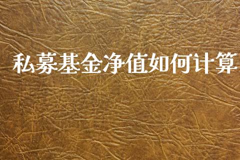 私募基金净值如何计算_https://qh.lansai.wang_新股数据_第1张