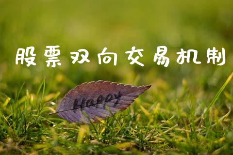 股票双向交易机制_https://qh.lansai.wang_期货怎么玩_第1张