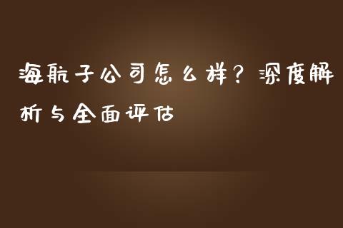 海航子公司怎么样？深度解析与全面评估_https://qh.lansai.wang_海康威视股票_第1张
