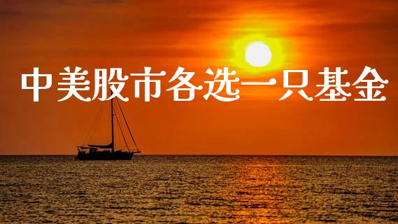 中美股市各选一只基金_https://qh.lansai.wang_期货理财_第1张