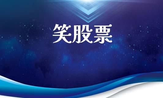 笑股票_https://qh.lansai.wang_新股数据_第1张