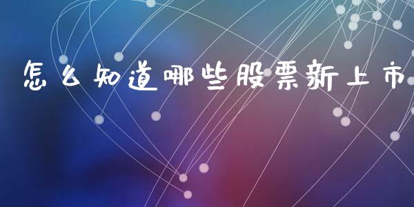 怎么知道哪些股票新上市_https://qh.lansai.wang_期货怎么玩_第1张