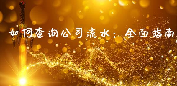 如何查询公司流水：全面指南_https://qh.lansai.wang_股票新闻_第1张