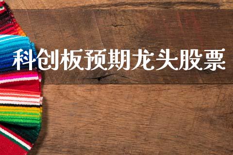 科创板预期龙头股票_https://qh.lansai.wang_期货喊单_第1张
