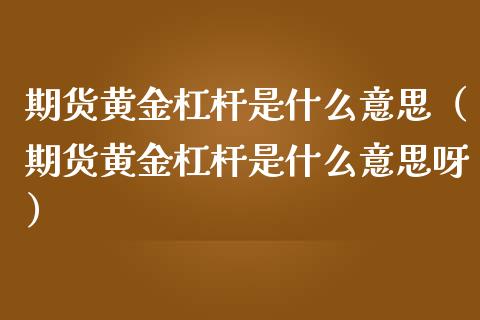 期货黄金杠杆是什么意思（期货黄金杠杆是什么意思呀）_https://qh.lansai.wang_股票技术分析_第1张