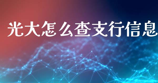 光大怎么查支行信息_https://qh.lansai.wang_新股数据_第1张