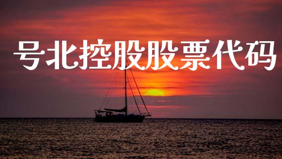 号北控股股票代码_https://qh.lansai.wang_期货怎么玩_第1张
