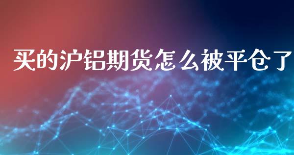 买的沪铝期货怎么被平仓了_https://qh.lansai.wang_期货怎么玩_第1张