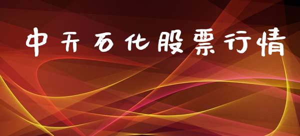 中天石化股票行情_https://qh.lansai.wang_新股数据_第1张