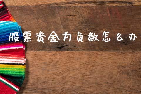 股票资金为负数怎么办_https://qh.lansai.wang_期货怎么玩_第1张