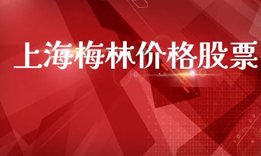 上海梅林价格股票_https://qh.lansai.wang_期货理财_第1张