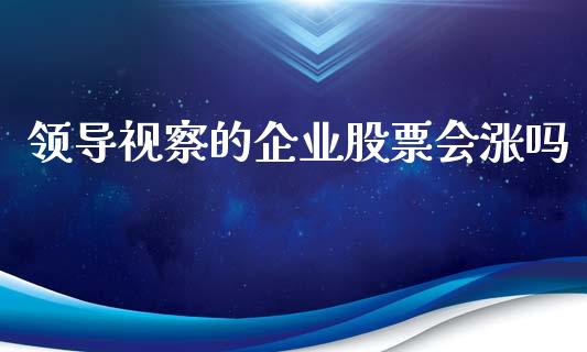 领导视察的企业股票会涨吗_https://qh.lansai.wang_期货理财_第1张