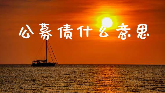 公募债什么意思_https://qh.lansai.wang_新股数据_第1张