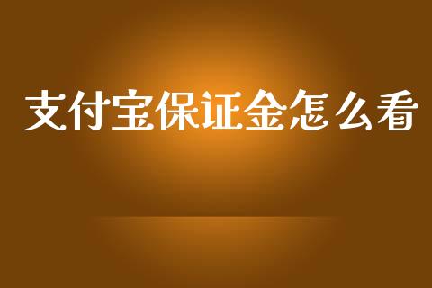 支付宝保证金怎么看_https://qh.lansai.wang_股票技术分析_第1张