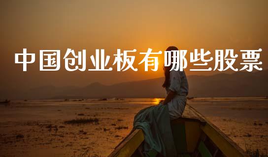 中国创业板有哪些股票_https://qh.lansai.wang_期货理财_第1张
