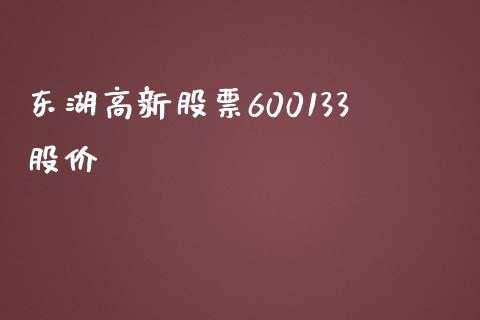 东湖高新股票600133股价_https://qh.lansai.wang_期货理财_第1张