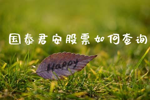 国泰君安股票如何查询_https://qh.lansai.wang_期货理财_第1张
