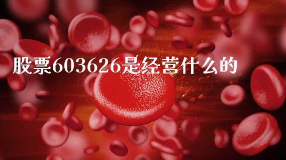 股票603626是经营什么的_https://qh.lansai.wang_期货怎么玩_第1张