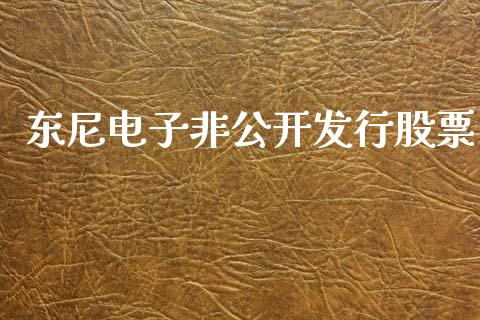 东尼电子非公开发行股票_https://qh.lansai.wang_期货理财_第1张