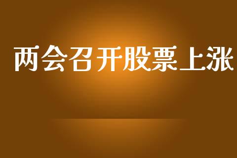 两会召开股票上涨_https://qh.lansai.wang_新股数据_第1张