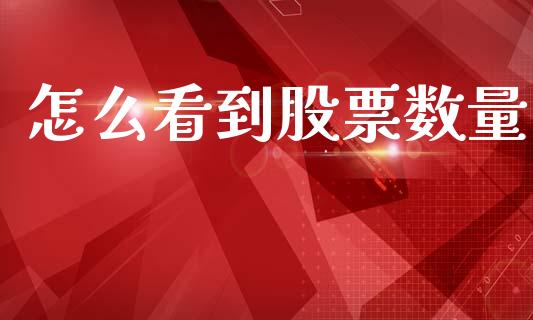 怎么看到股票数量_https://qh.lansai.wang_期货怎么玩_第1张