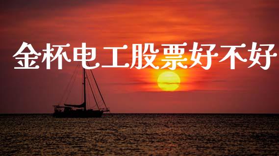 金杯电工股票好不好_https://qh.lansai.wang_期货理财_第1张