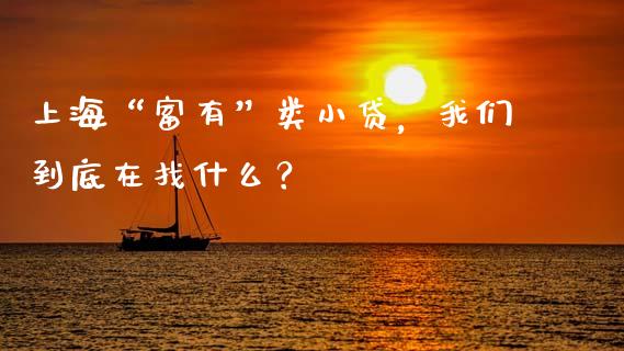 上海“富有”类小贷，我们到底在找什么？_https://qh.lansai.wang_股票新闻_第1张