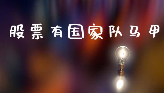 股票有国家队马甲_https://qh.lansai.wang_新股数据_第1张