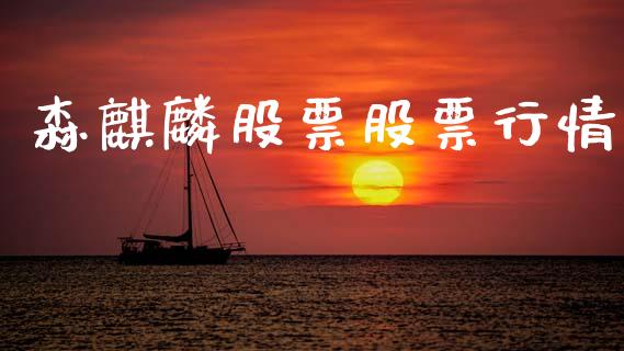 森麒麟股票股票行情_https://qh.lansai.wang_新股数据_第1张