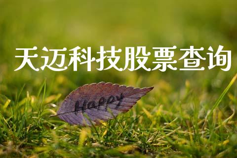 天迈科技股票查询_https://qh.lansai.wang_期货理财_第1张
