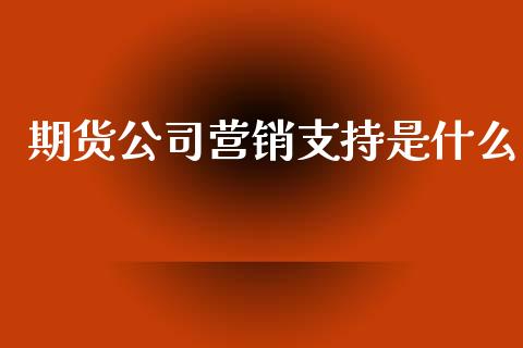 期货公司营销支持是什么_https://qh.lansai.wang_期货理财_第1张