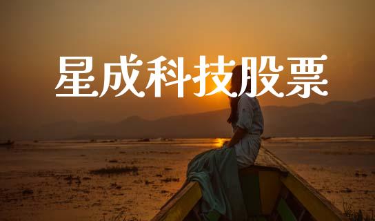 星成科技股票_https://qh.lansai.wang_新股数据_第1张