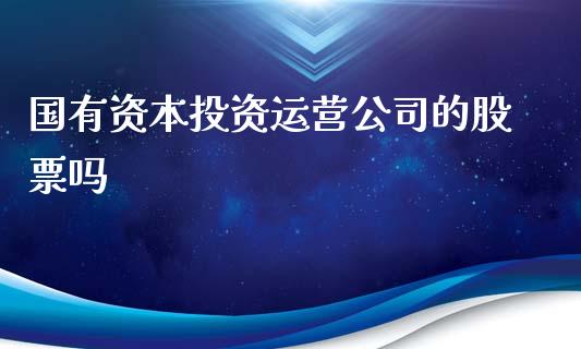 国有资本投资运营公司的股票吗_https://qh.lansai.wang_期货理财_第1张