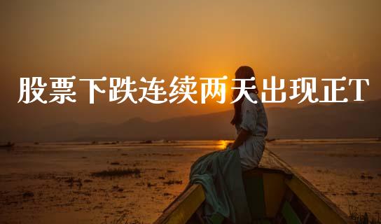 股票下跌连续两天出现正T_https://qh.lansai.wang_新股数据_第1张