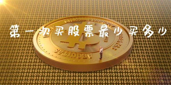 第一次买股票最少买多少_https://qh.lansai.wang_股票新闻_第1张