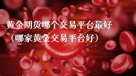 黄金期货哪个交易平台最好（哪家黄金交易平台好）_https://qh.lansai.wang_期货喊单_第1张