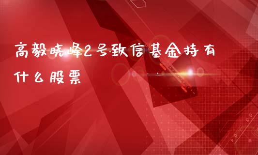 高毅晓峰2号致信基金持有什么股票_https://qh.lansai.wang_期货怎么玩_第1张