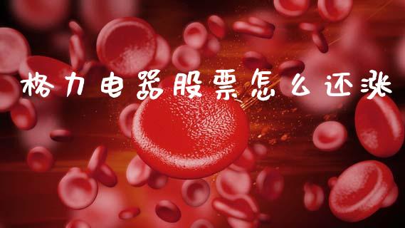 格力电器股票怎么还涨_https://qh.lansai.wang_新股数据_第1张