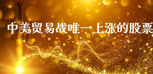 中美贸易战唯一上涨的股票_https://qh.lansai.wang_期货怎么玩_第1张