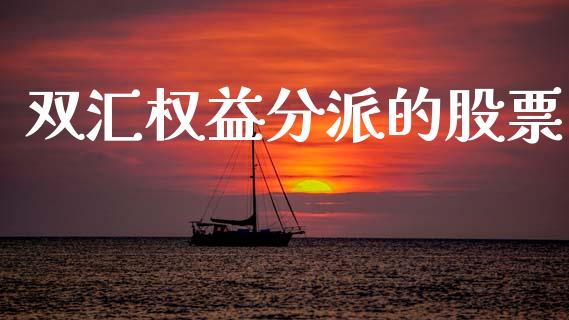 双汇权益分派的股票_https://qh.lansai.wang_期货理财_第1张