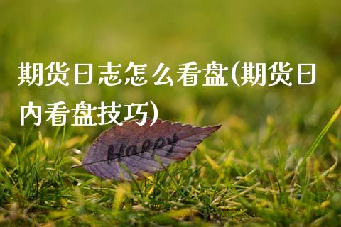 期货日志怎么看盘(期货日内看盘技巧)_https://qh.lansai.wang_期货喊单_第1张