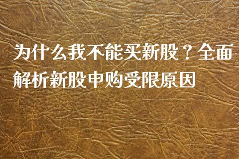 为什么我不能买新股？全面解析新股申购受限原因_https://qh.lansai.wang_新股数据_第1张