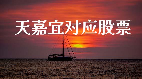 天嘉宜对应股票_https://qh.lansai.wang_期货理财_第1张